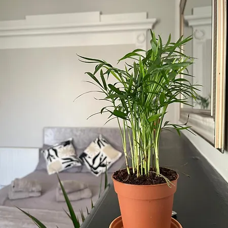 In Rathmines, 10min Walk To Centre Apartmán *