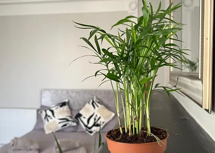 In Rathmines, 10min Walk To Centre Apartment *